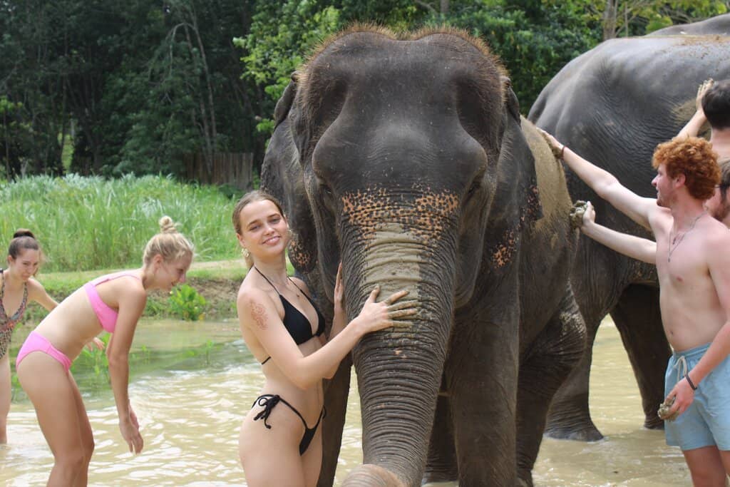 Ethical Elephant Encounters