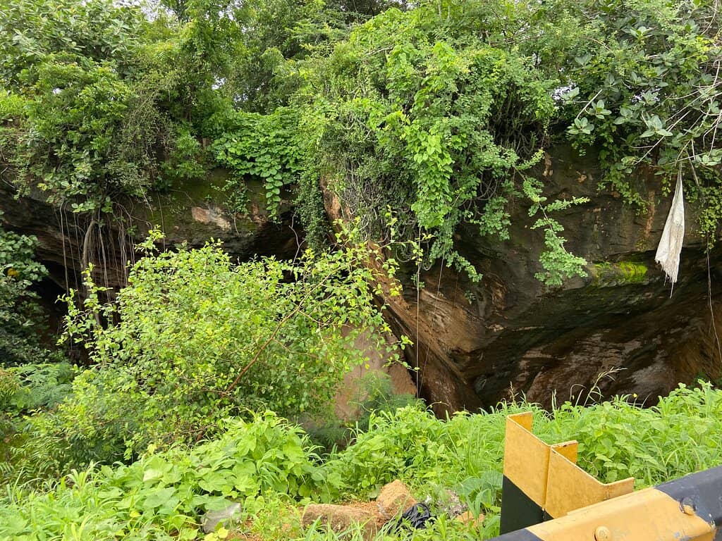 Photographer's Paradise