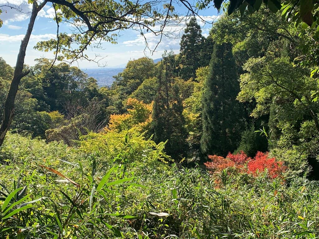 Seasonal Beauty