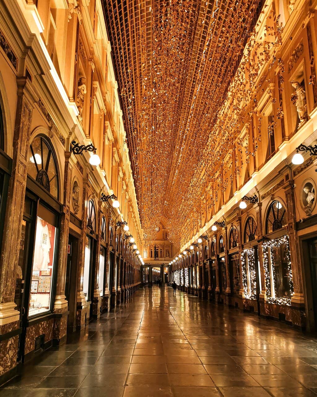 Belgian Beer Tasting