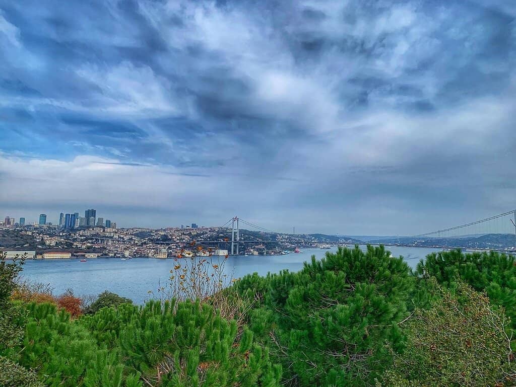 Tranquil Green Escape