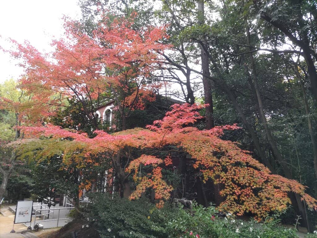 Former Naval Admiral's Residence