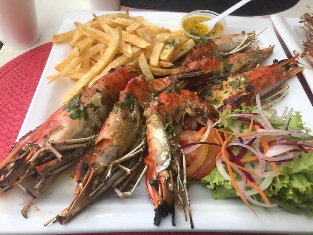 Home Essentials & Gifts