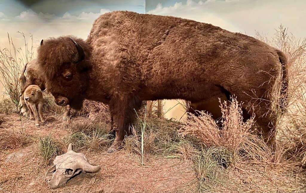 Children's Activity Sheets