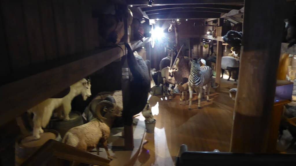 Thuringian Fauna Dioramas