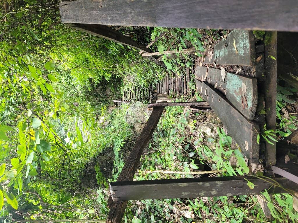 Bat Caves