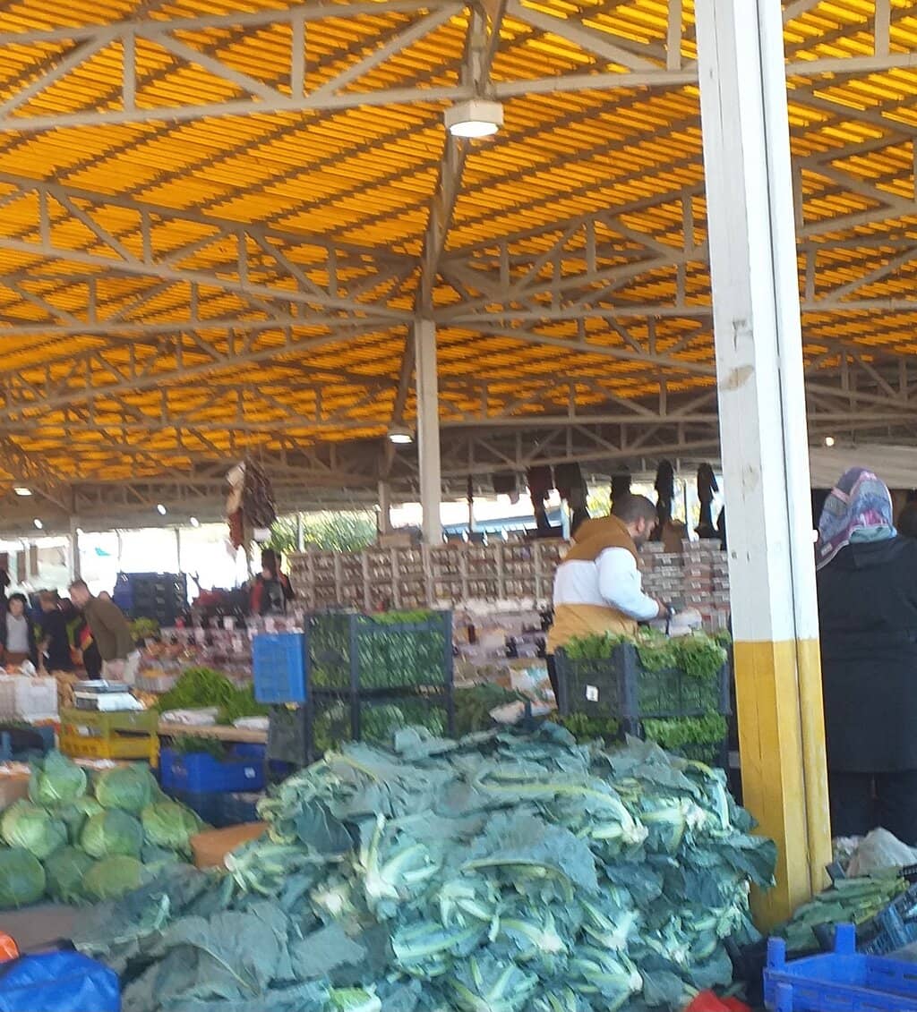 Local Dairy Delights