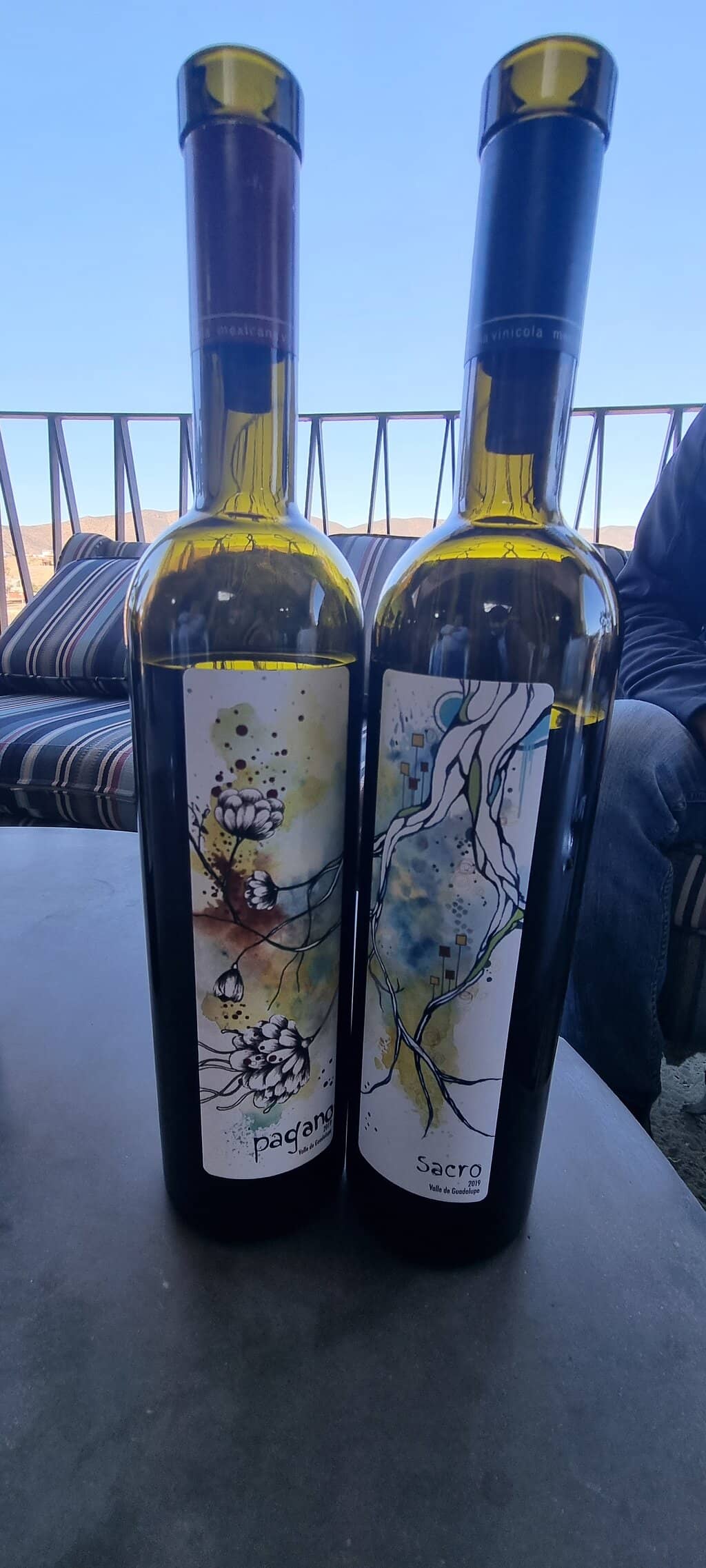 Premium Wine Tasting Experience