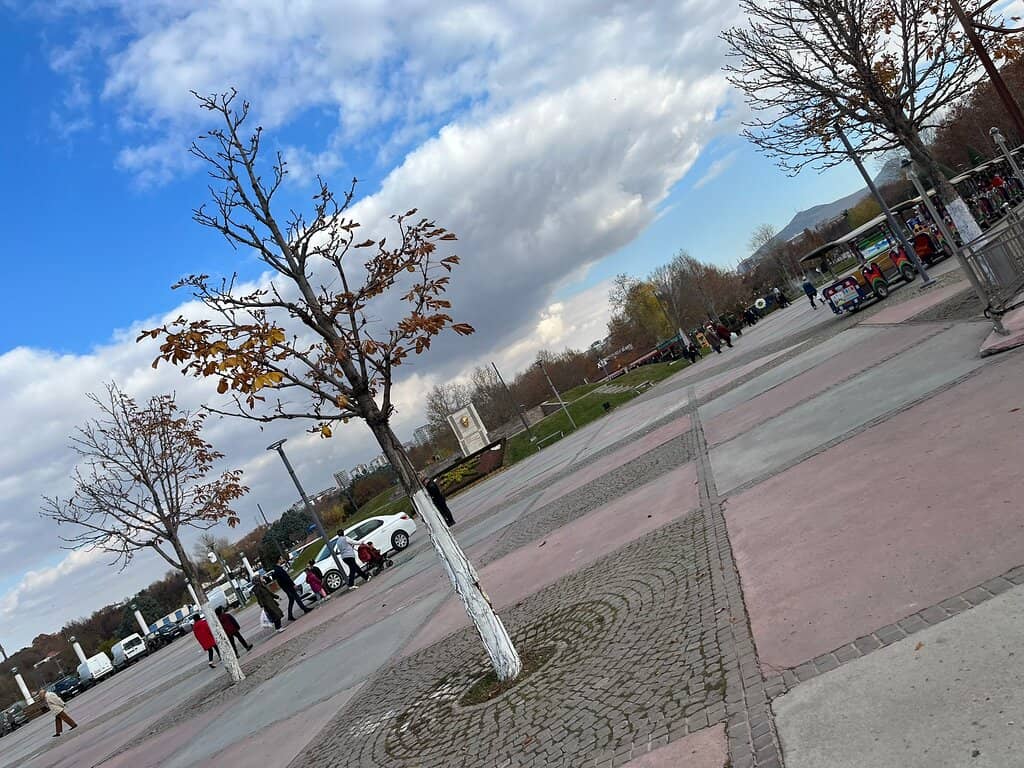 Vertical photo