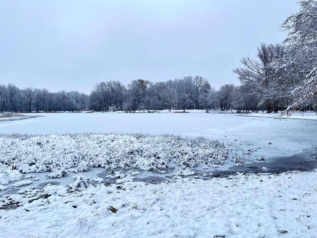 Children's Playground