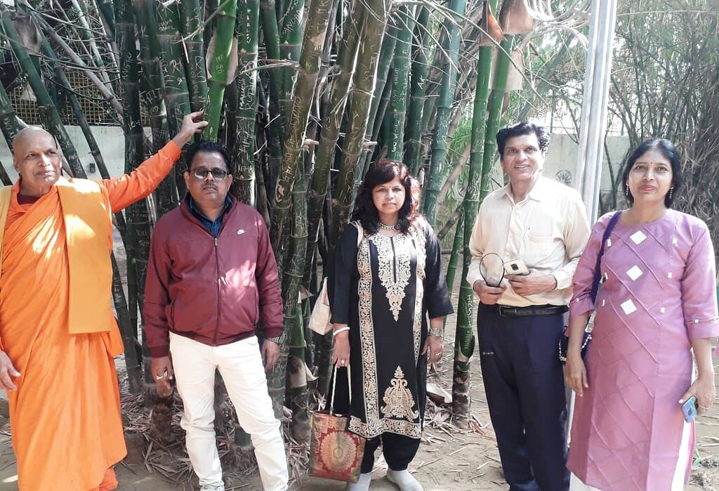 The Bamboo Grove