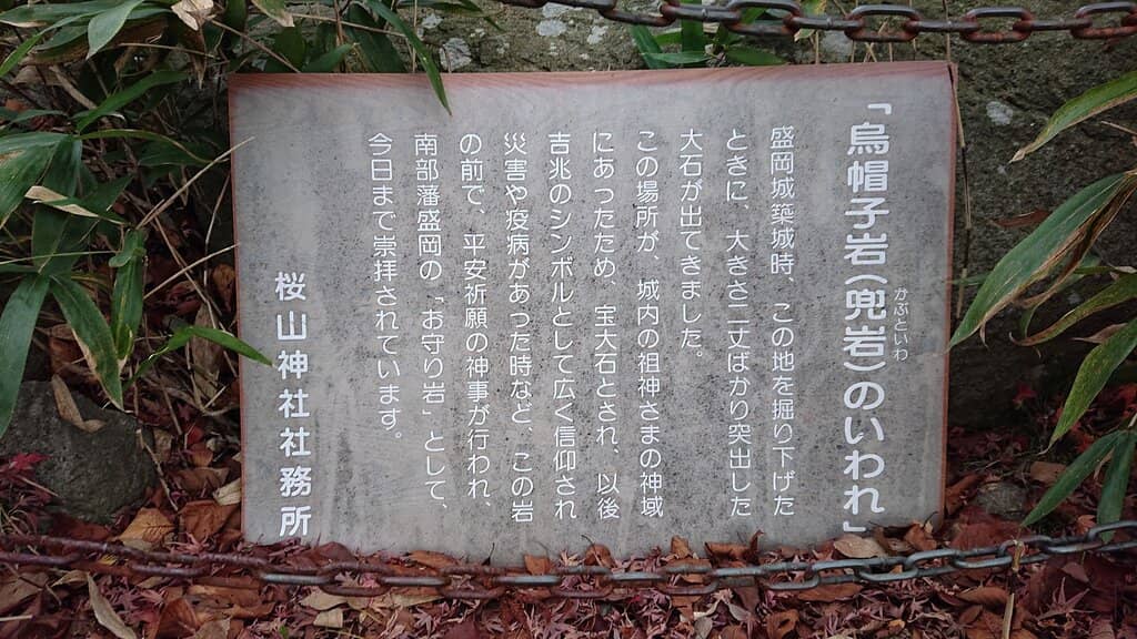 Marine Life in Tidal Pools