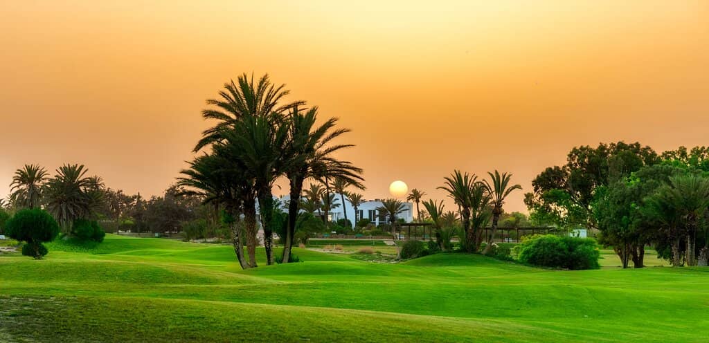 Well-Maintained Greens