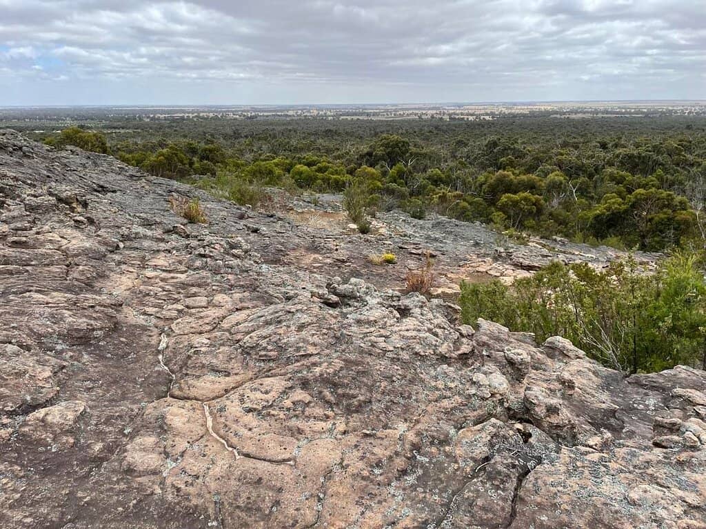 Scenic Gravel Road Drive