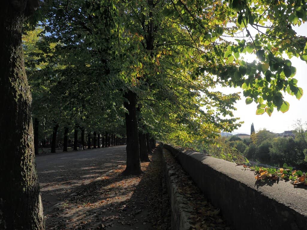 Scenic Walks