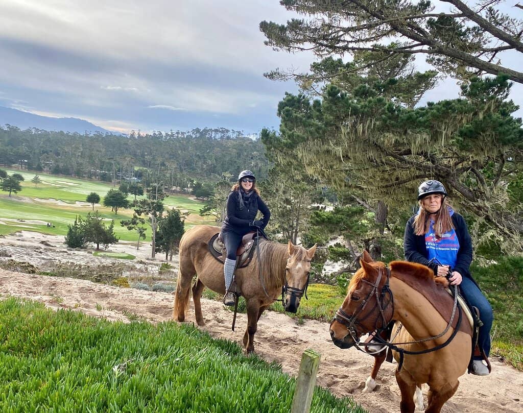 Knowledgeable Guides