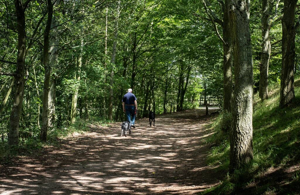 The Miniature Railway