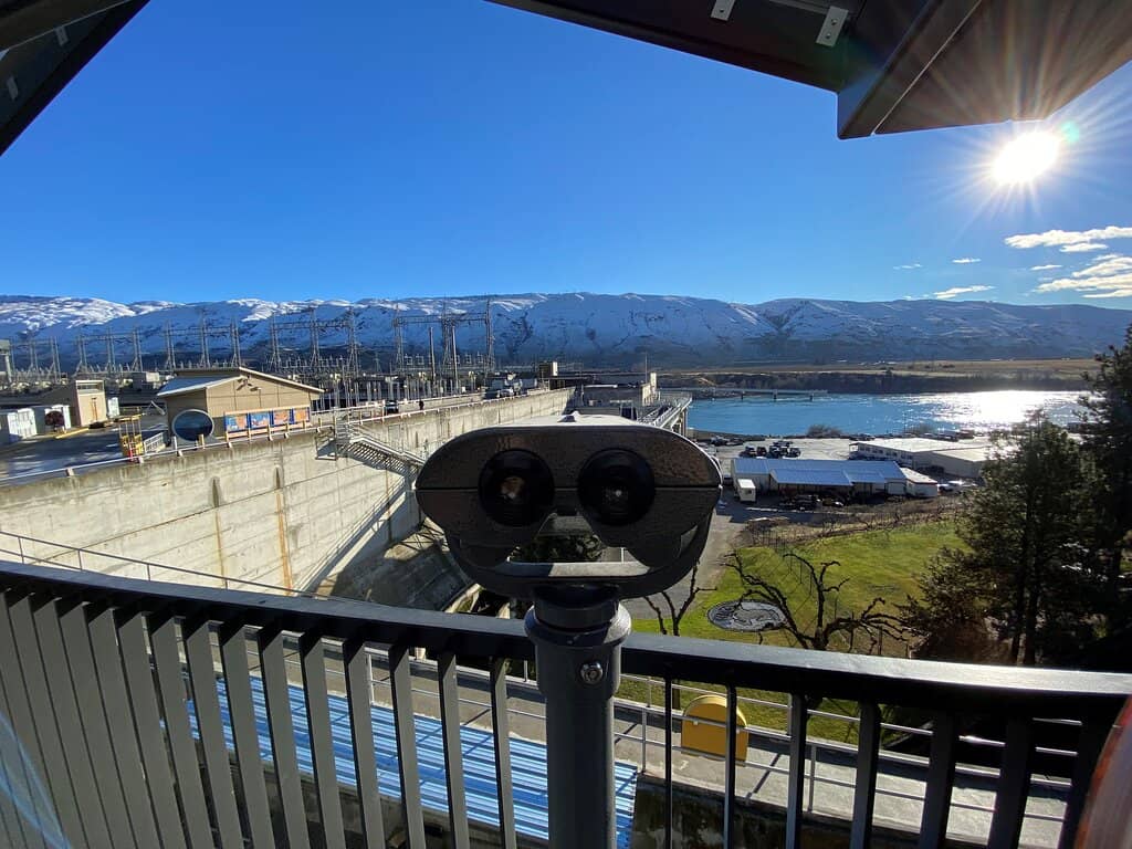 Salmon Ladder Viewing