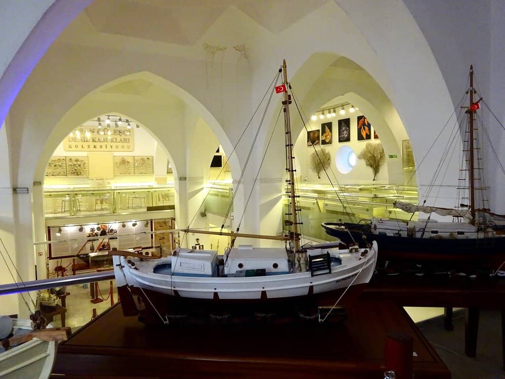 Cevat Şakir Kabaağaçlı Exhibit