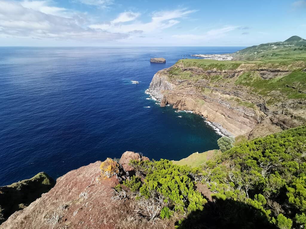 Surprise Refreshments