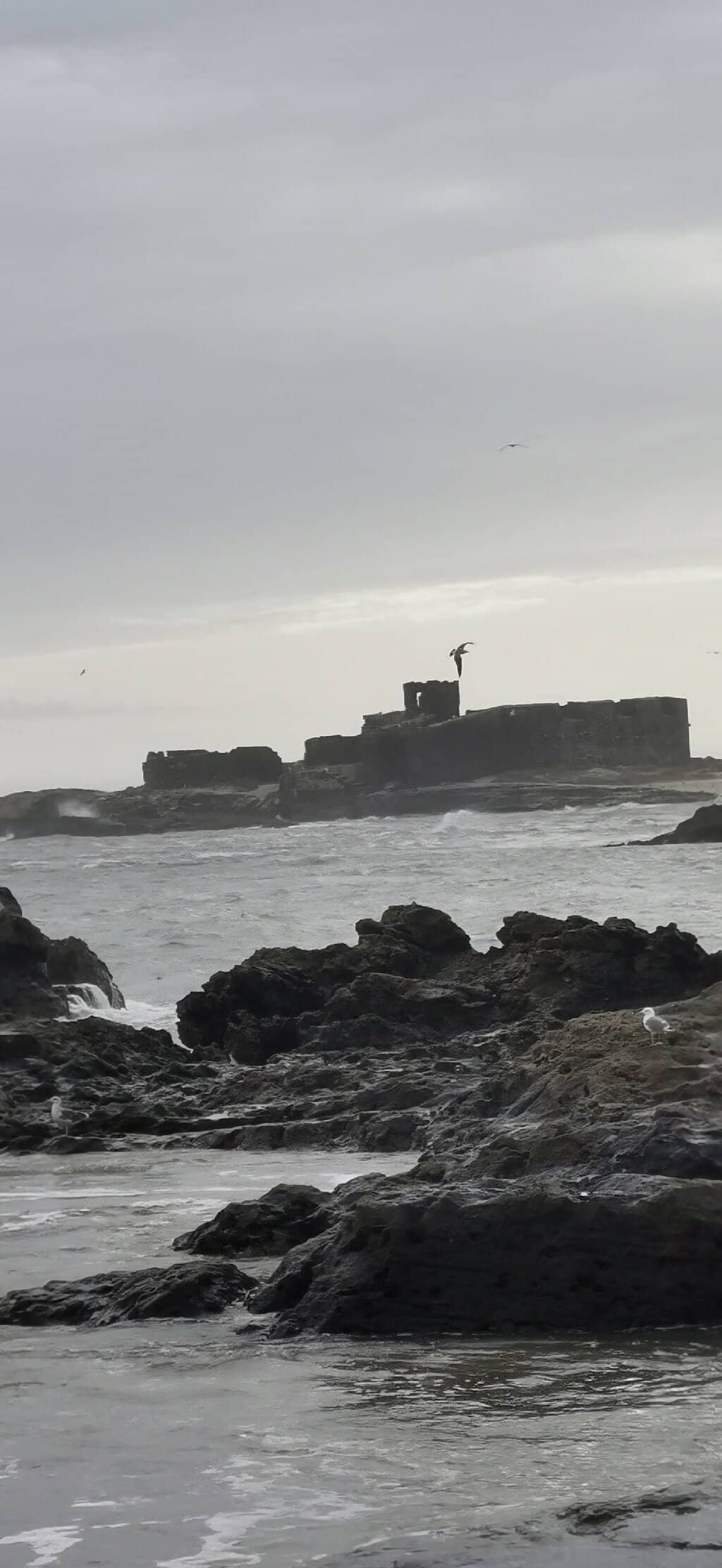 Fish Market Spectacle