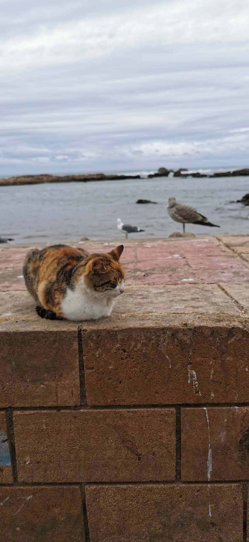 Panoramic Ocean Views