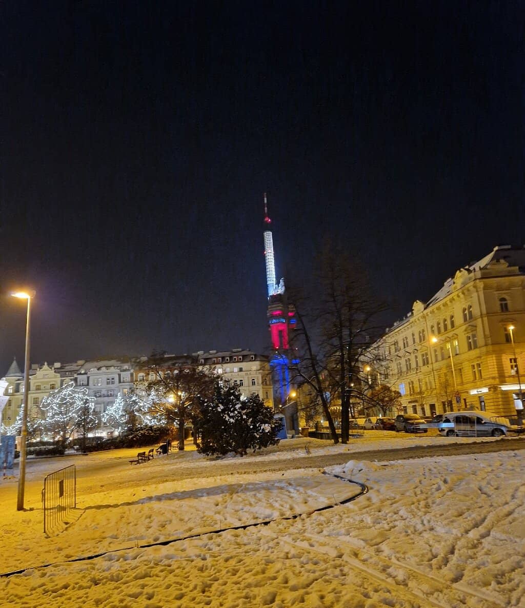 Cherry Blossom Spectacle