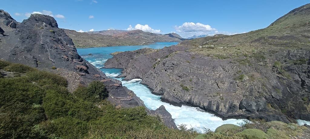 Wildlife Spotting Opportunities