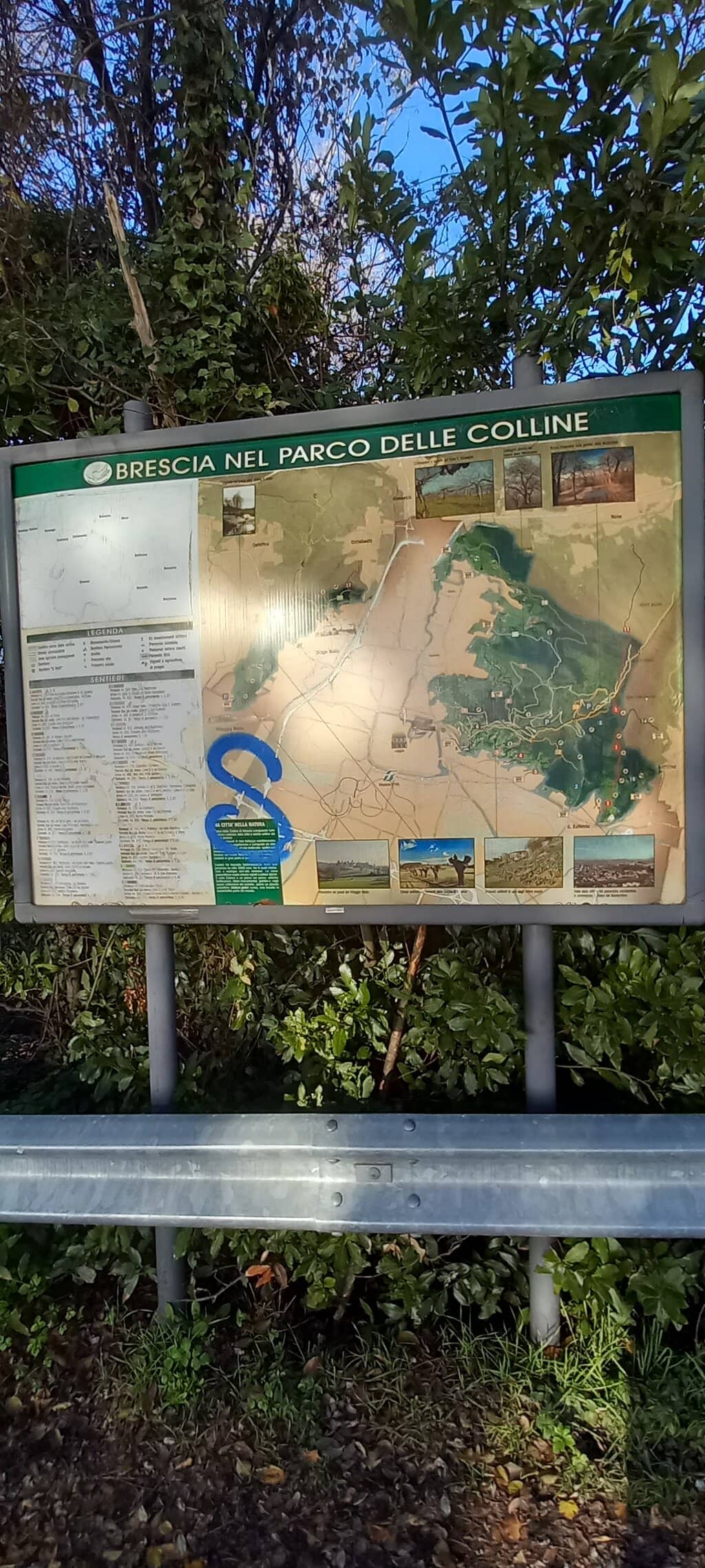 Local Mountain Charm