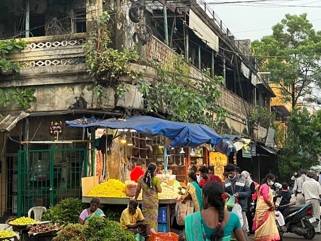Street Food Delights