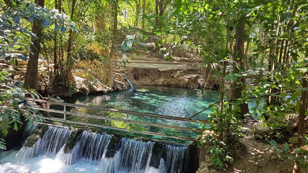 Shaded Natural Oasis