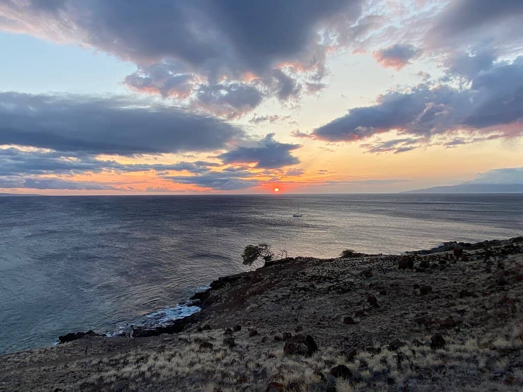 Whale Watching Haven