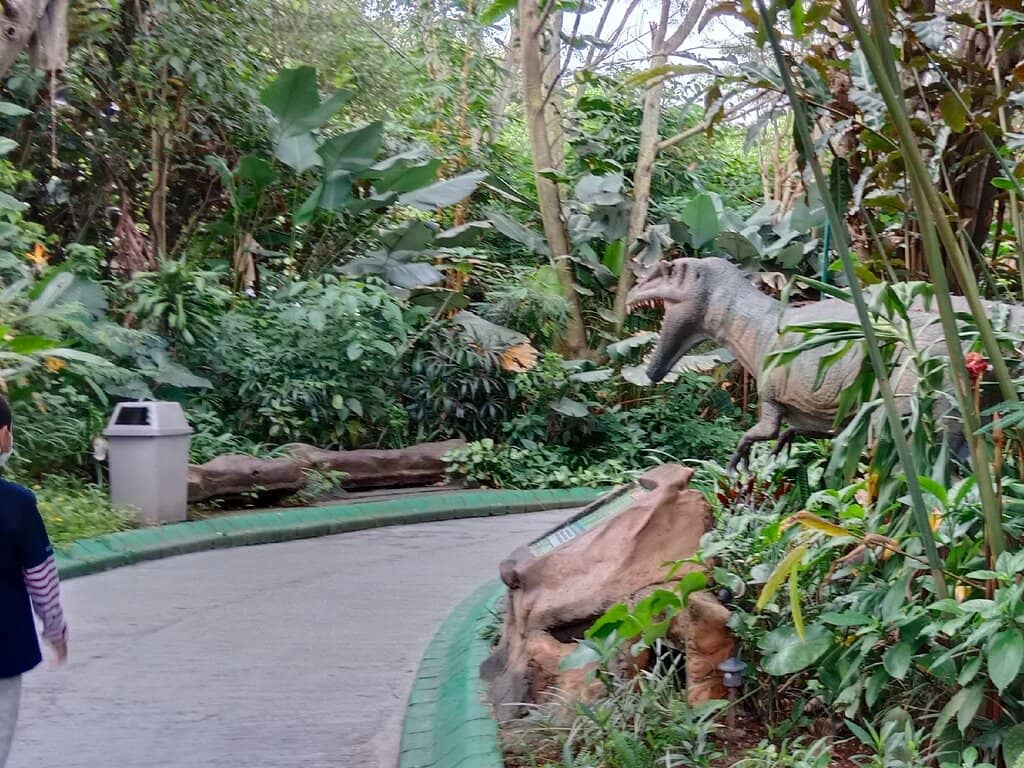 Hogwarts & Diagon Alley Vibes