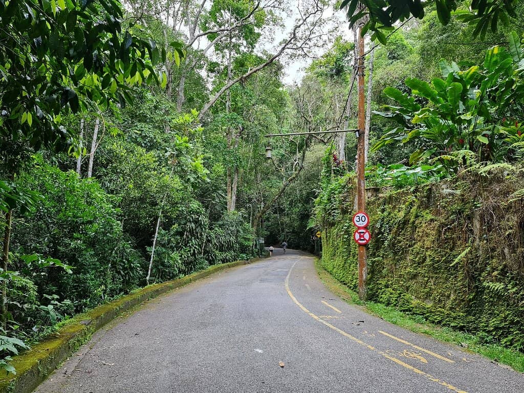 Picnic and Relaxation Area