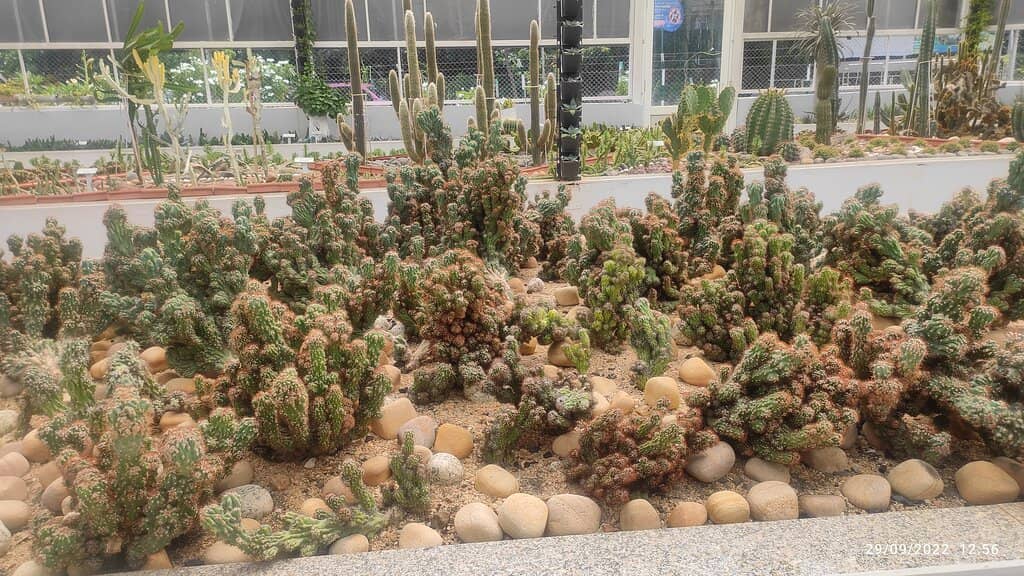 Educational Experience