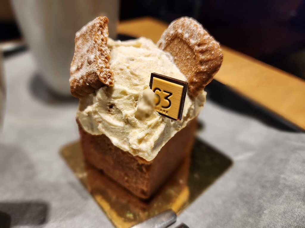 Vibrant Jellyfish Exhibit