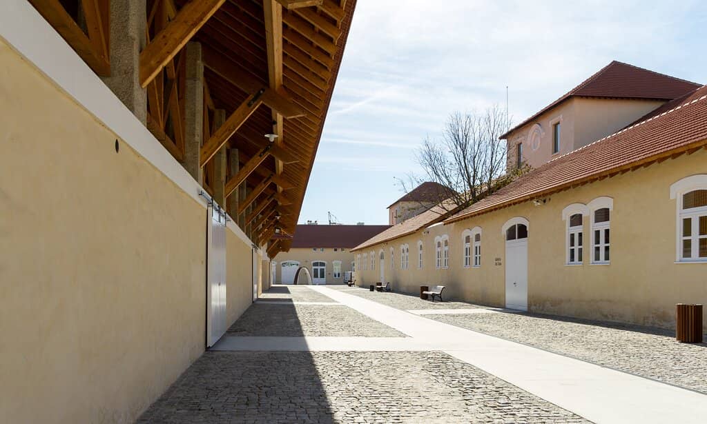 Gift Shop & Local Art