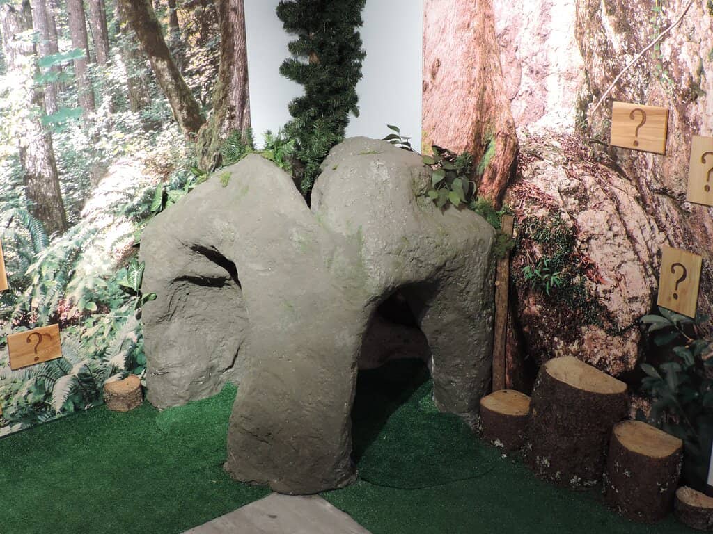 Regional Natural History