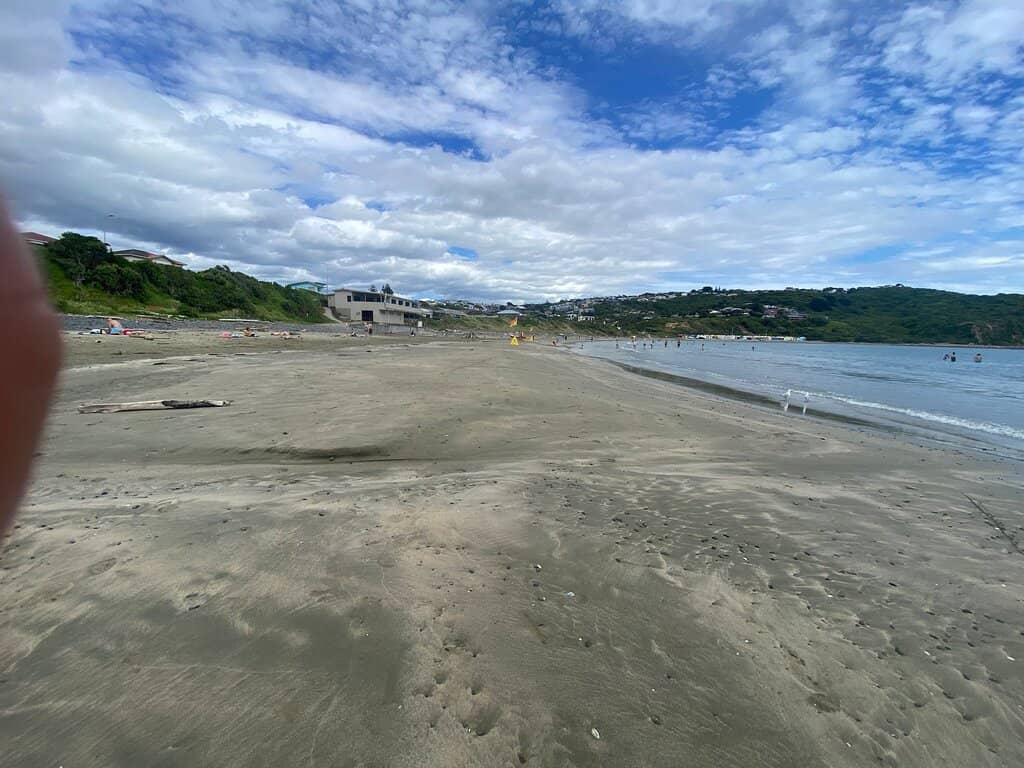 Rock Pools & Marine Life