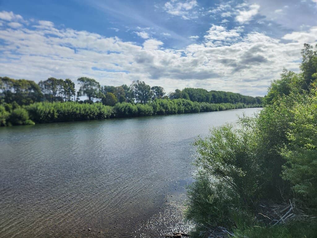 Nature's Serene Soundtrack