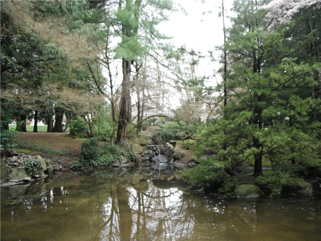 Tranquil Ponds and Wildlife