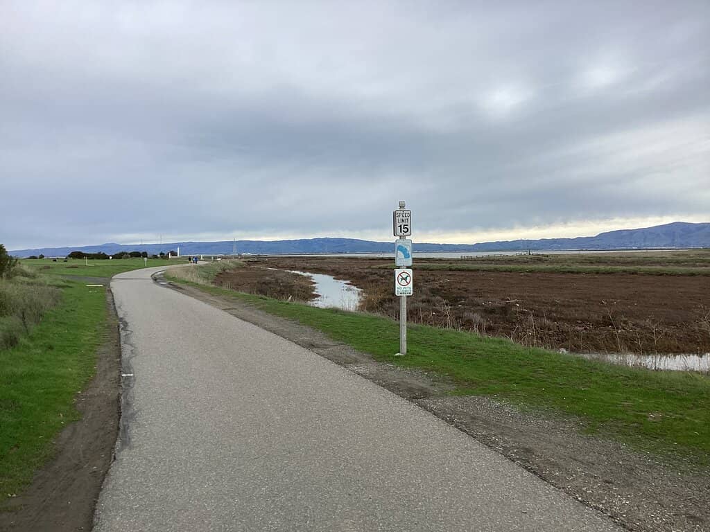 Shoreline Park Views