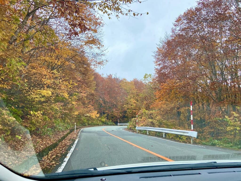 Autumn Foliage Drive