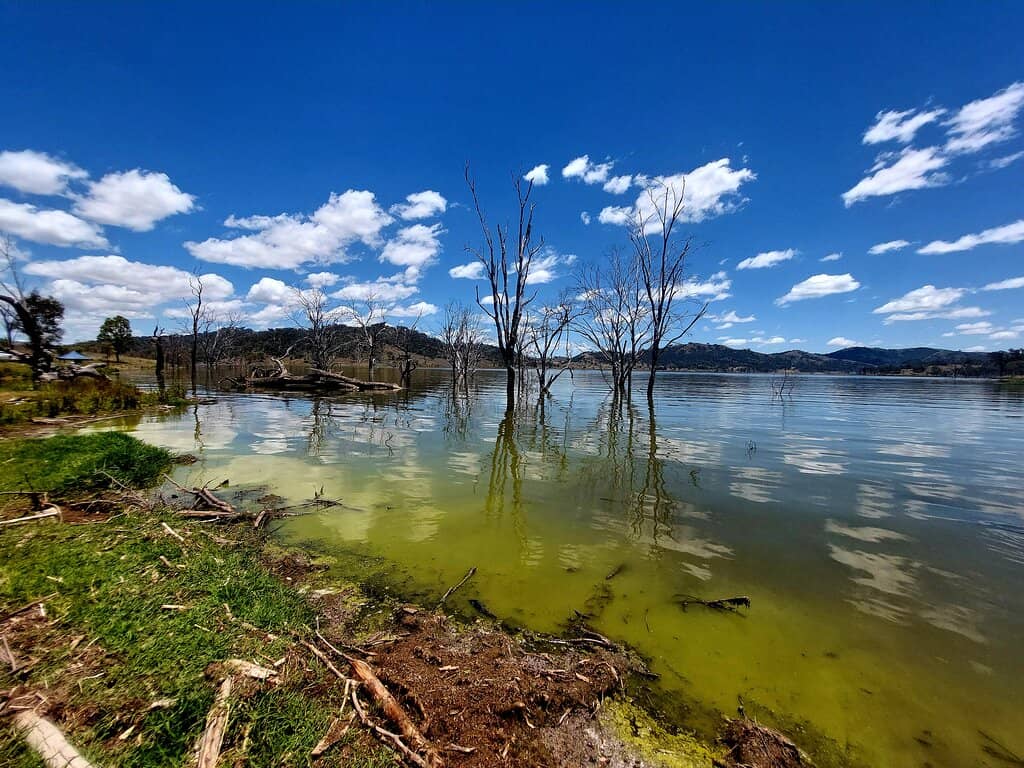 Fishing Opportunities