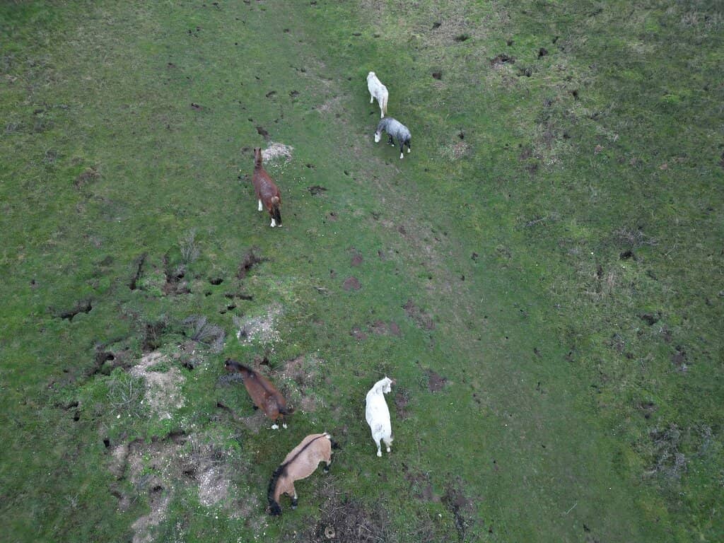 Woodland & Spring Trails