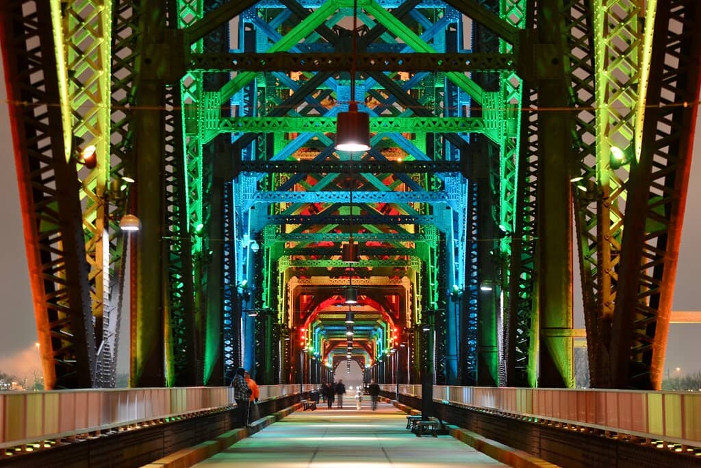 Vertical photo