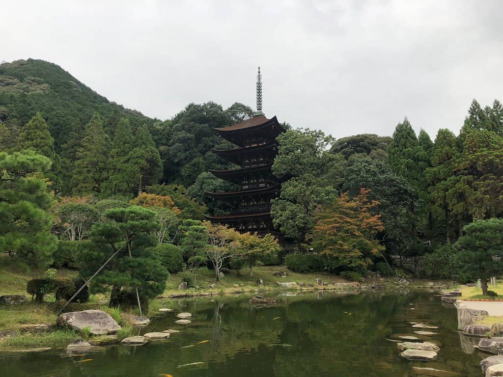 Seasonal Cherry Blossoms