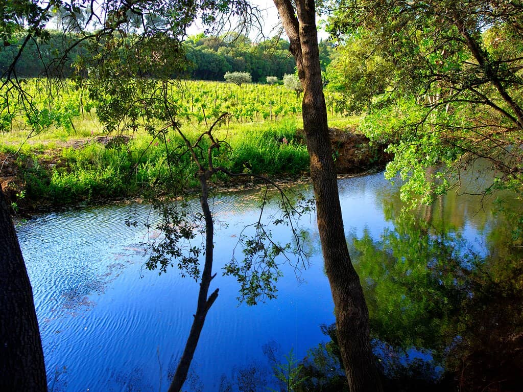 Family History & Winemaking