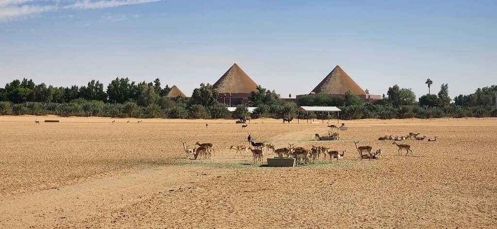 Visitor Center Encounters