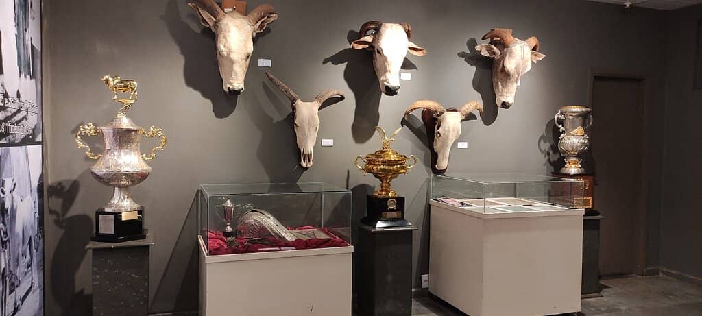 Maquete da Praça Rui Barbosa